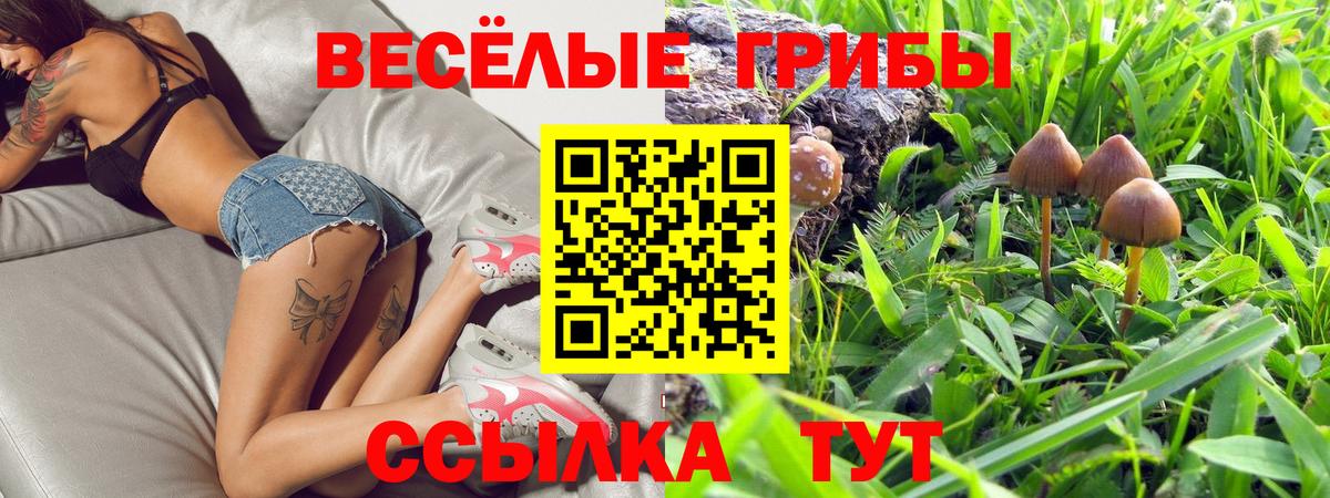 Галлюциногенные грибы Psilocybine cubensis  Вход с VPN  что такое наркотик  Заинск 