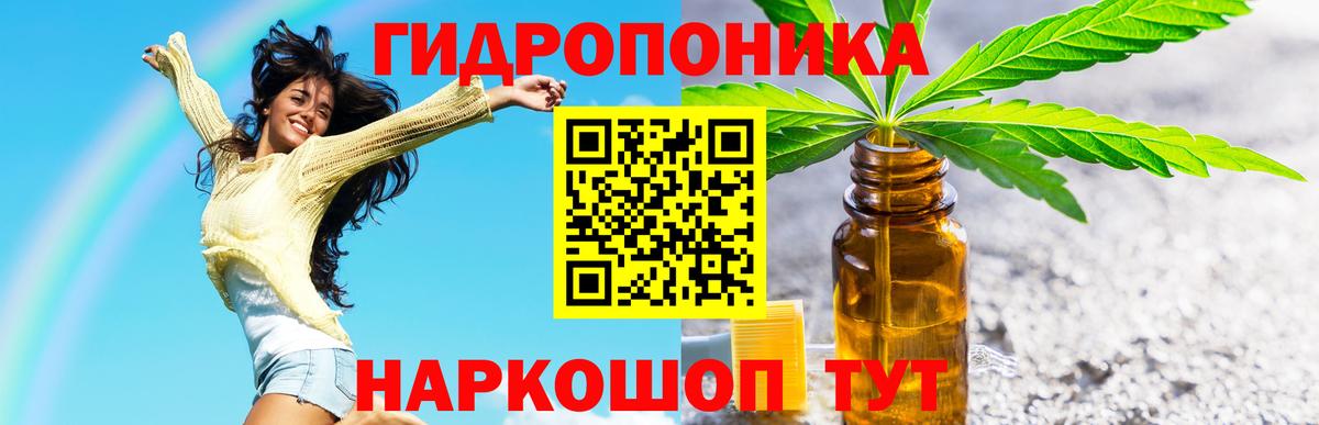Конопля сатива  Вход с VPN  Заинск  Канабис Ganja 